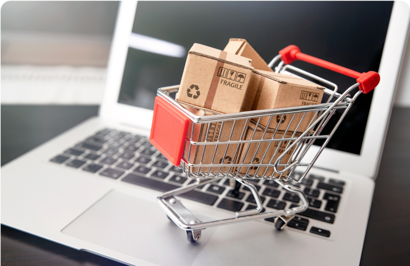 E commerce Development