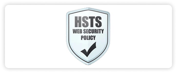 Web security