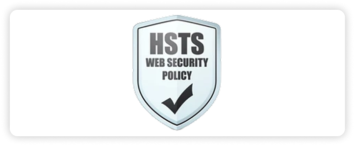 HSTS web security